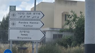 פרדס חנה כרכור בנימינה, צילום: איציק יצחקי